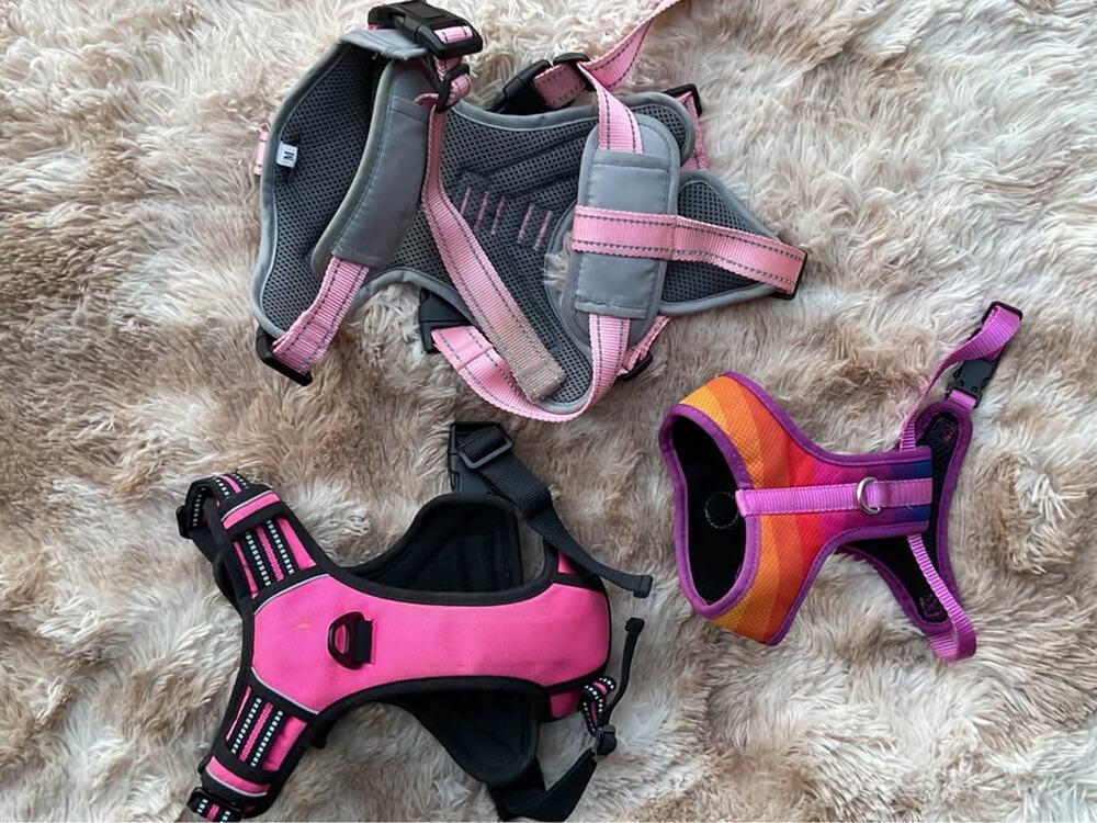 3 Medium Size Dog Harnesses, Vests - Rabbitgoo, Belpro, Zee.Dog